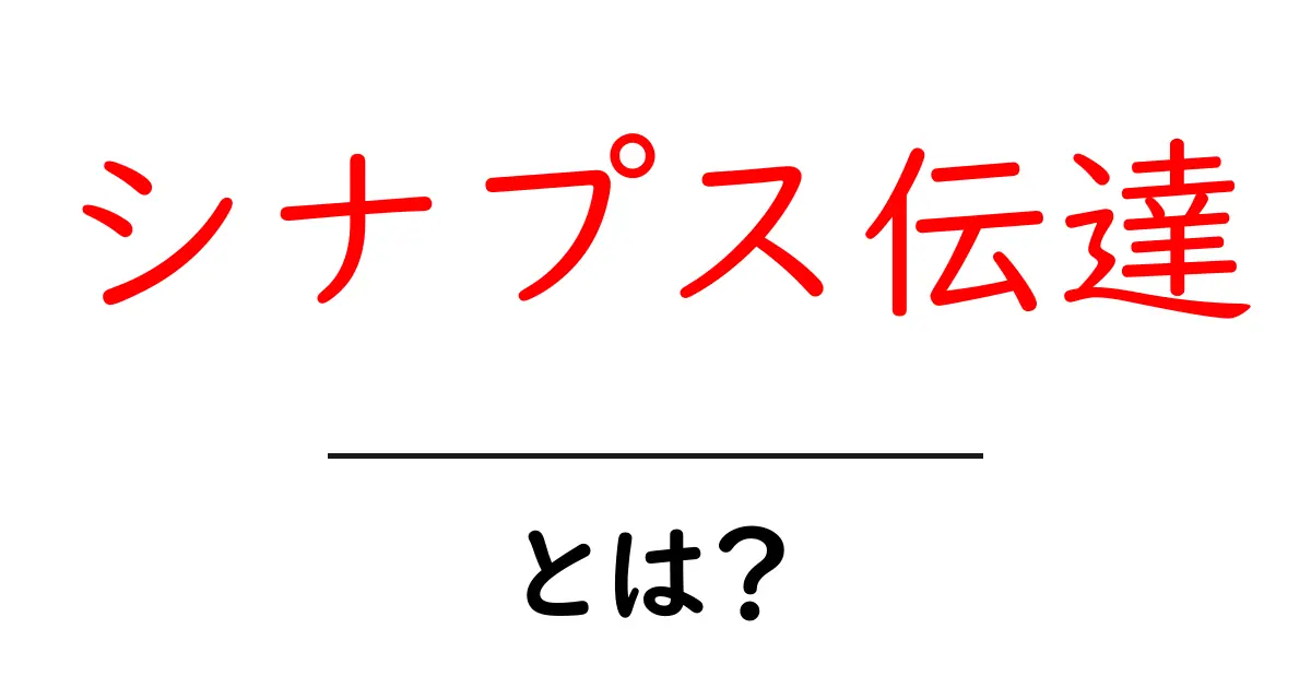 シナプス伝達とは?初心者向けに分かりやすく解説共起語・同意語・対義語も併せて解説!