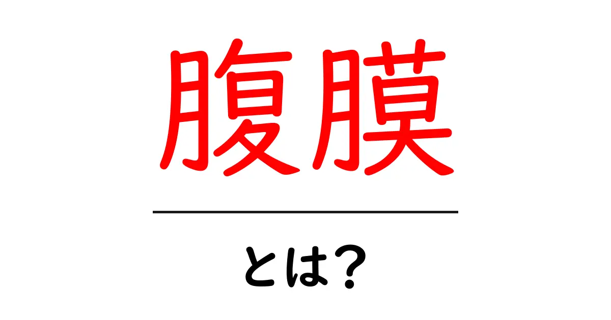 腹膜とは？初心者向けに腹膜の基本を解説共起語・同意語・対義語も併せて解説！