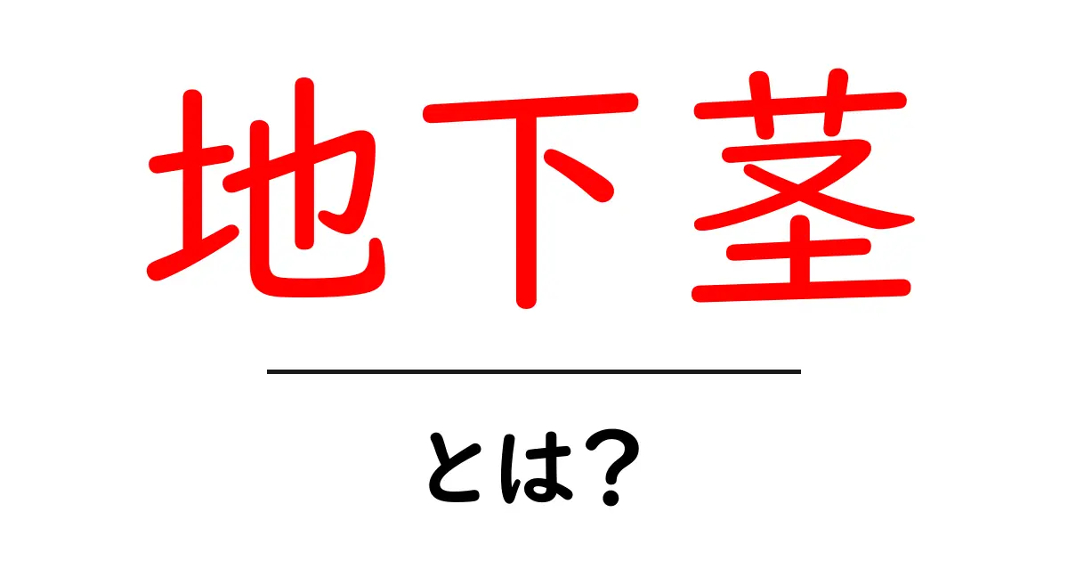 地下茎・とは?初心者でもわかるやさしい解説共起語・同意語・対義語も併せて解説!