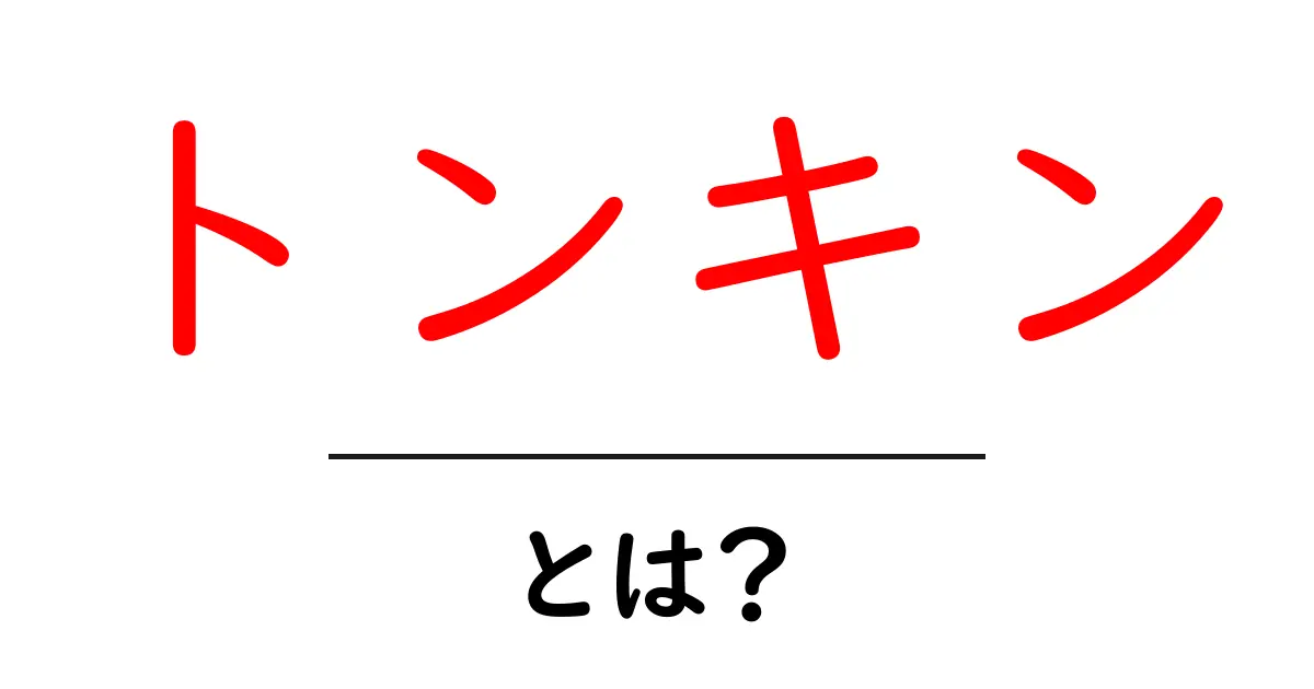 トンキン・とは？初心者向け意味と使い方ガイド共起語・同意語・対義語も併せて解説！