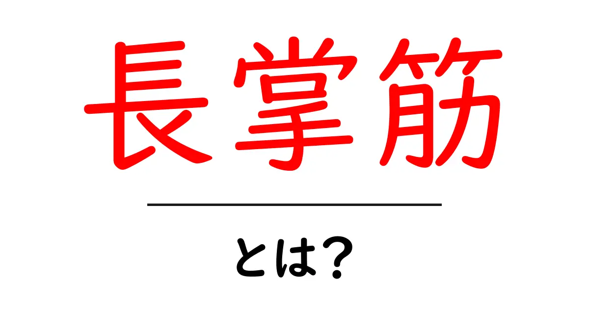 長掌筋とは？初心者向けに解剖学の基本と役割をやさしく解説共起語・同意語・対義語も併せて解説！