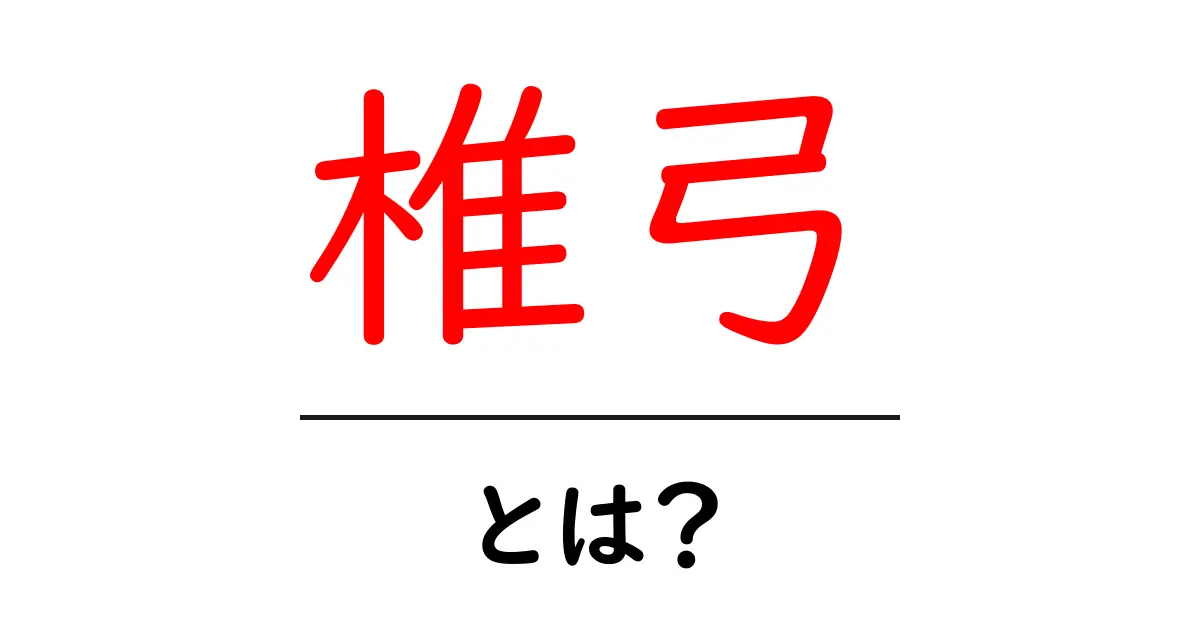 椎弓・とは？背骨の役割をやさしく解説する入門ガイド共起語・同意語・対義語も併せて解説！