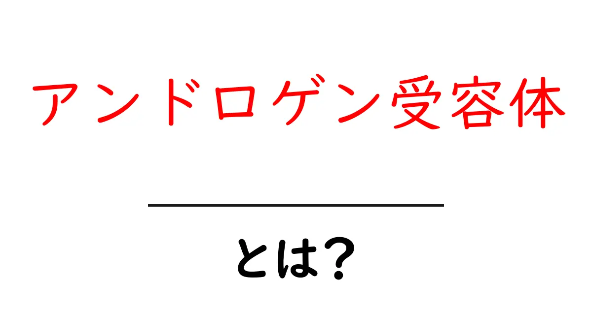 アンドロゲン受容体とは？ホルモンの秘密を解く鍵と役割を中学生にもわかる解説共起語・同意語・対義語も併せて解説！