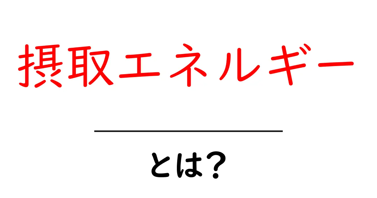 摂取エネルギーとは？中学生でも分かる基本と生活での使い方共起語・同意語・対義語も併せて解説！