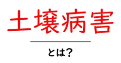 土壌病害・とは?初心者でも分かる原因と対策ガイド共起語・同意語・対義語も併せて解説!