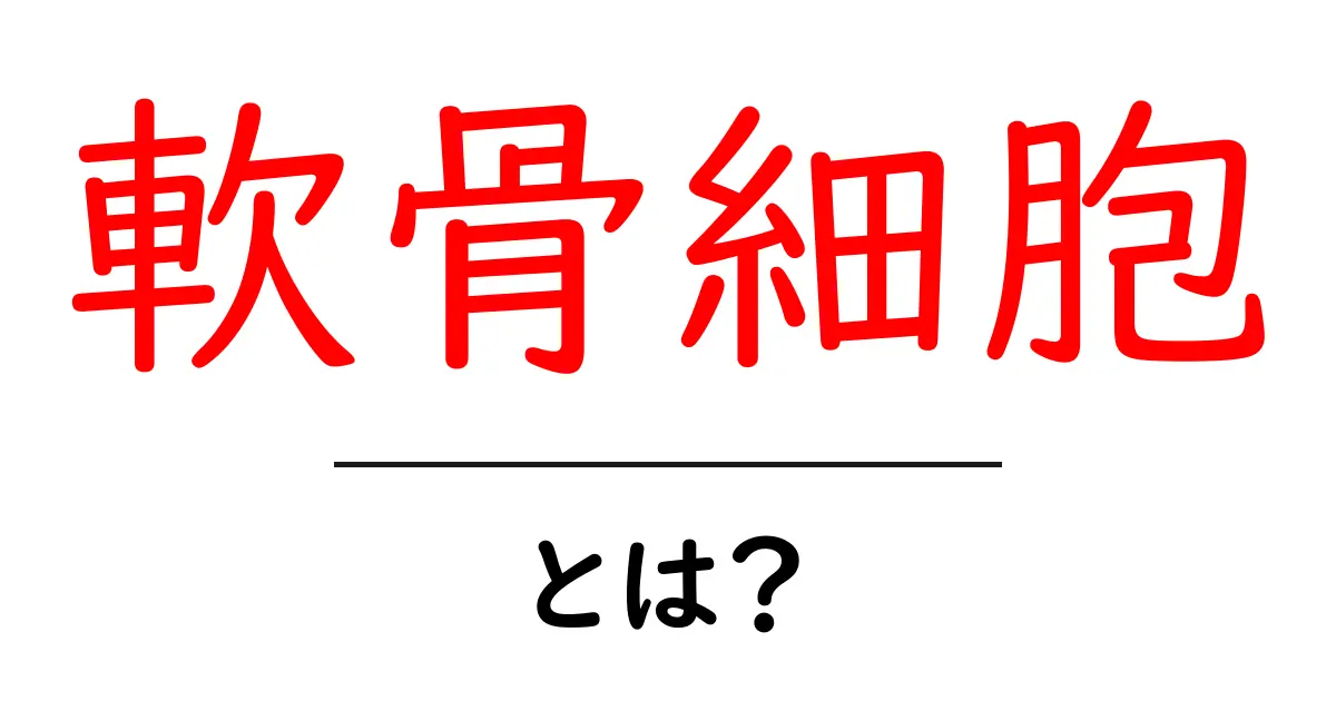 軟骨細胞とは?その役割と重要性を解説します!共起語・同意語も併せて解説!