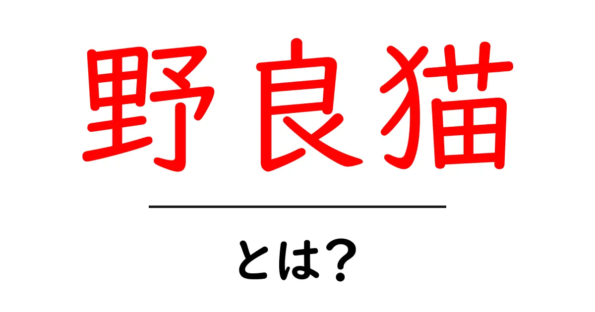 野良猫とは？その生態と私たちにできること共起語・同意語も併せて解説！