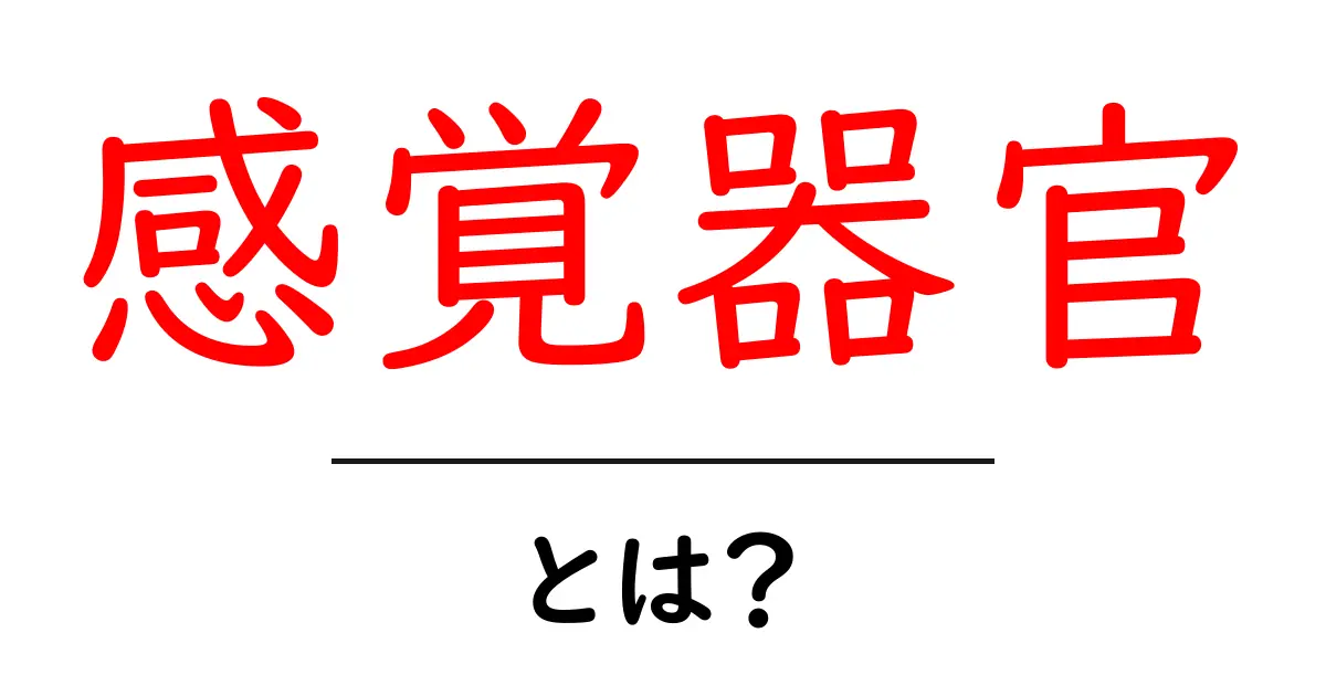 感覚器官とは?その役割と働きをわかりやすく解説!共起語・同意語も併せて解説!