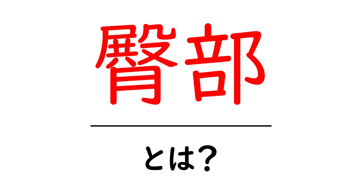臀部とは？健康と美容における重要な役割を解説共起語・同意語も併せて解説！