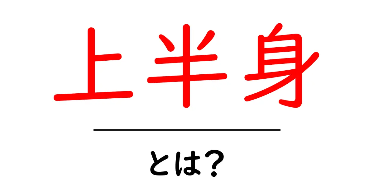 上半身とは?健康やトレーニングにおける重要性を解説共起語・同意語も併せて解説!