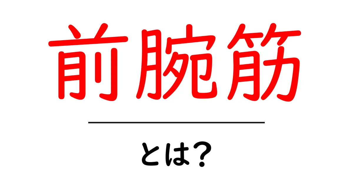前腕筋とは?驚くべき役割と鍛え方をわかりやすく解説!共起語・同意語も併せて解説!
