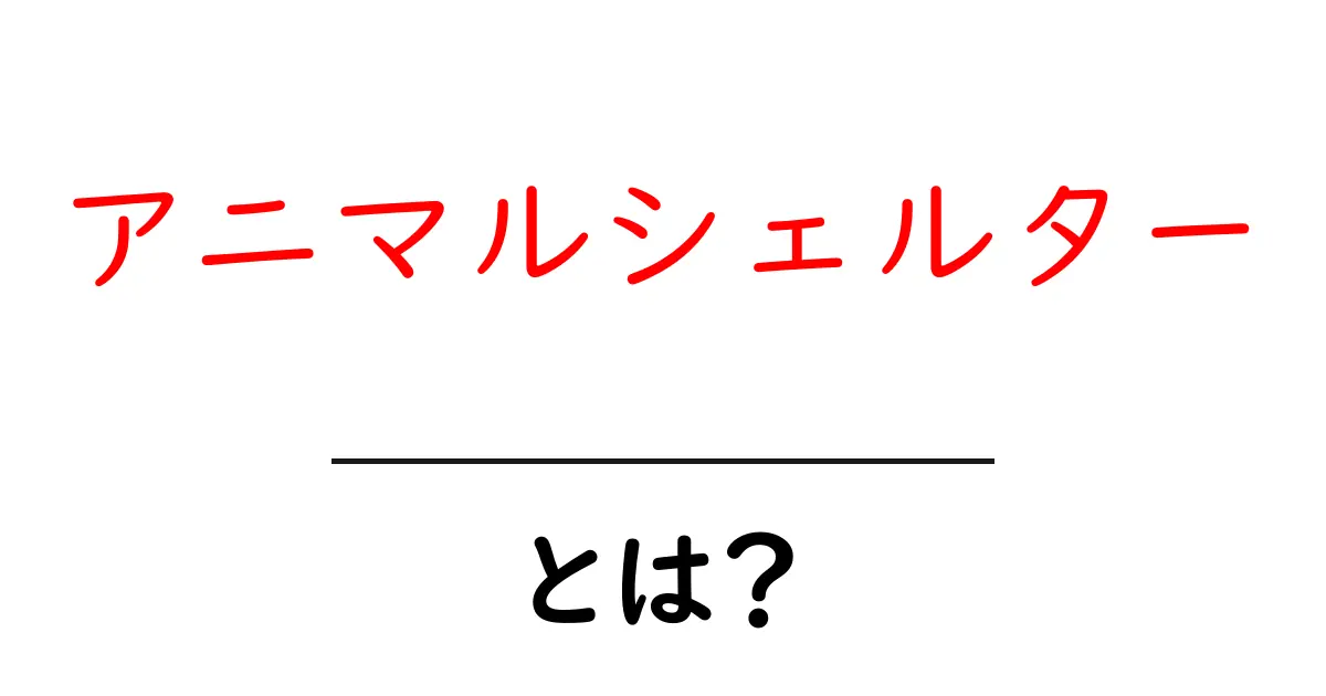 アニマルシェルターとは?私たちの心がけと動物たちの未来共起語・同意語も併せて解説!