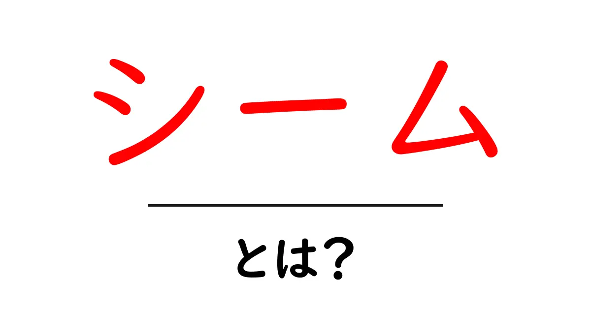 シームとは?意味や使い方をわかりやすく解説!共起語・同意語も併せて解説!