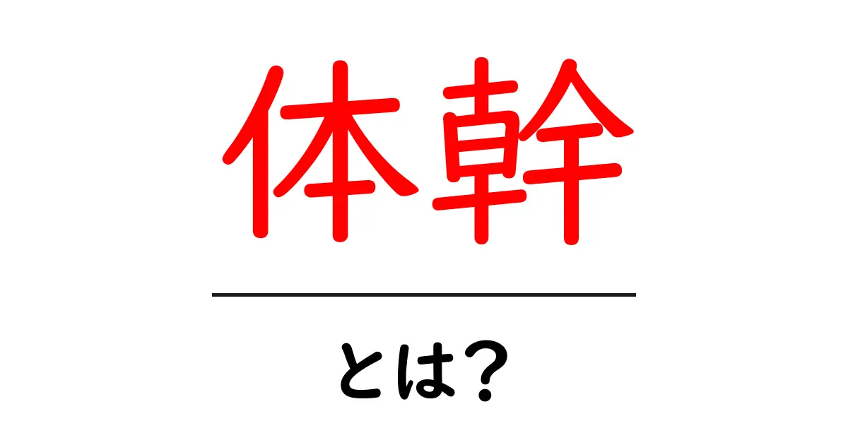 体幹とは？運動効果と健康へのメリットを解説！共起語・同意語も併せて解説！
