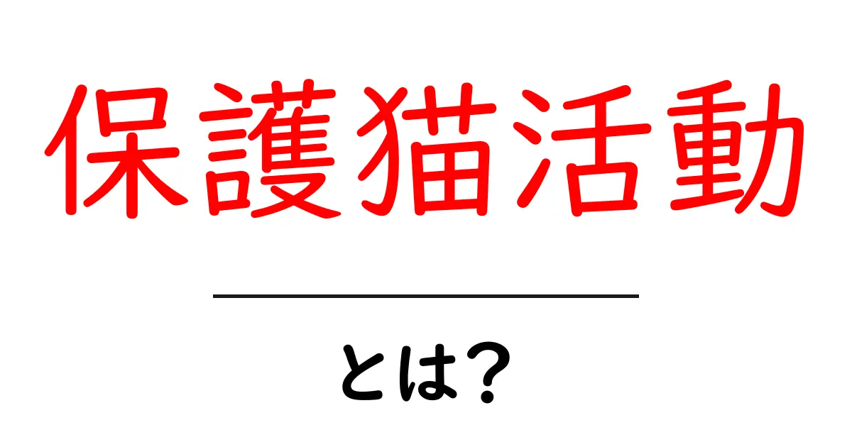 保護猫活動とは？愛猫たちの未来を守るために私たちができること共起語・同意語も併せて解説！