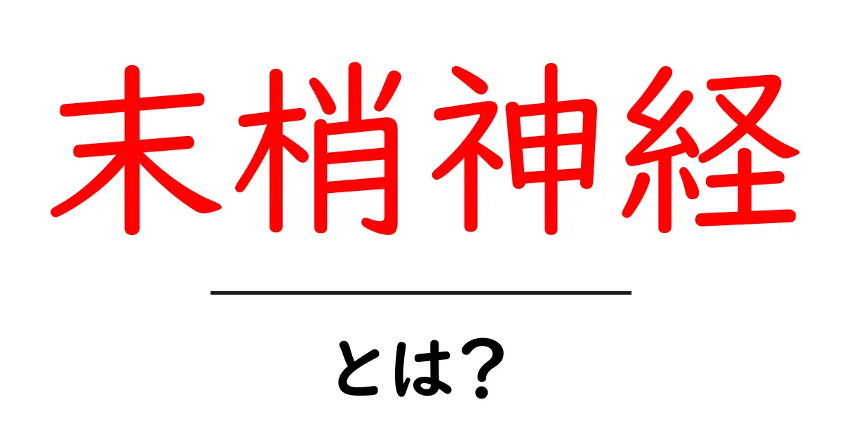 末梢神経とは?私たちの体をつなぐ重要な役割について解説共起語・同意語も併せて解説!