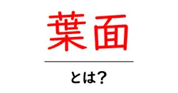 葉面とは？植物の葉の役割と重要性を解説共起語・同意語も併せて解説！