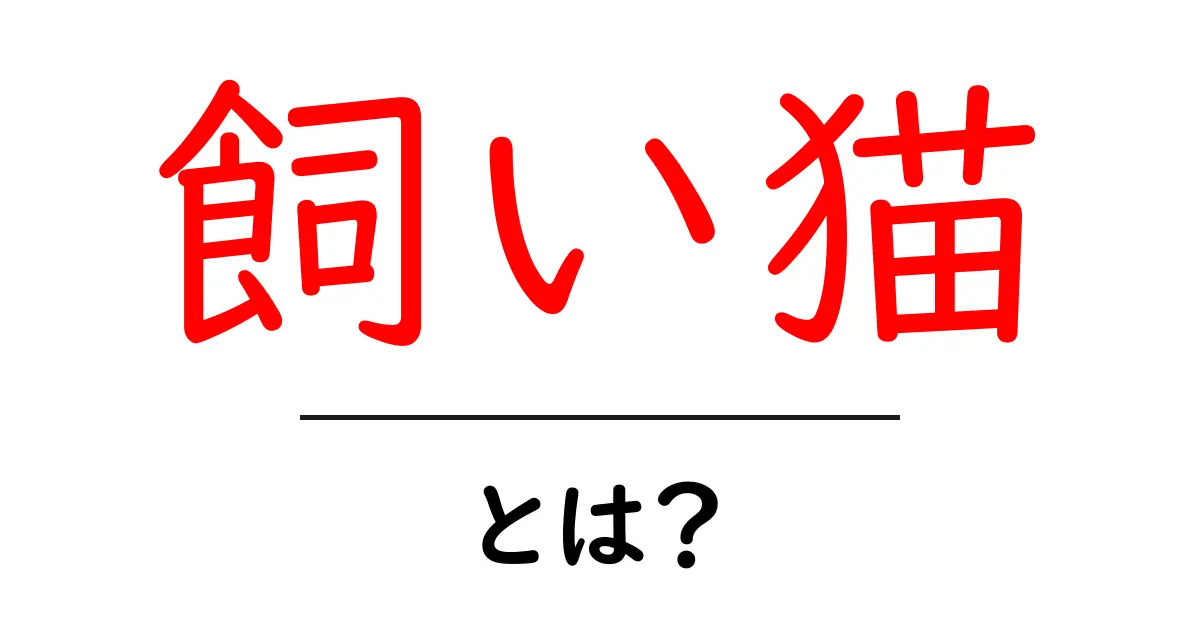 飼い猫とは?その魅力や注意点を徹底解説!共起語・同意語も併せて解説!