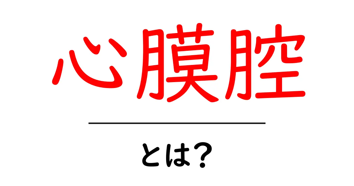 心膜腔とは?心臓を守る重要な空間を知ろう!共起語・同意語も併せて解説!