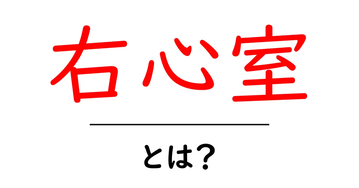 右心室とは?心臓の重要な役割を解説!共起語・同意語も併せて解説!