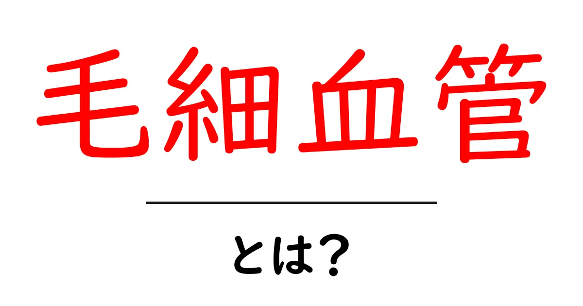 毛細血管とは?血液の通り道の重要性と健康への影響共起語・同意語も併せて解説!