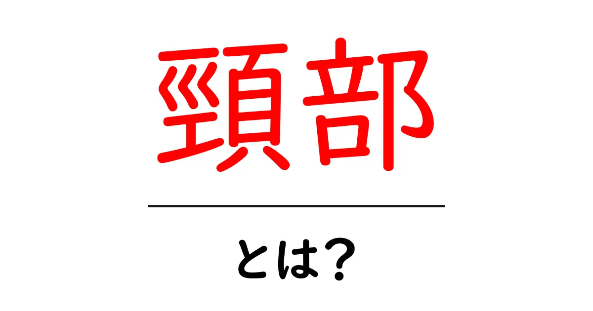 頸部とは?その役割や重要性をわかりやすく解説!共起語・同意語も併せて解説!