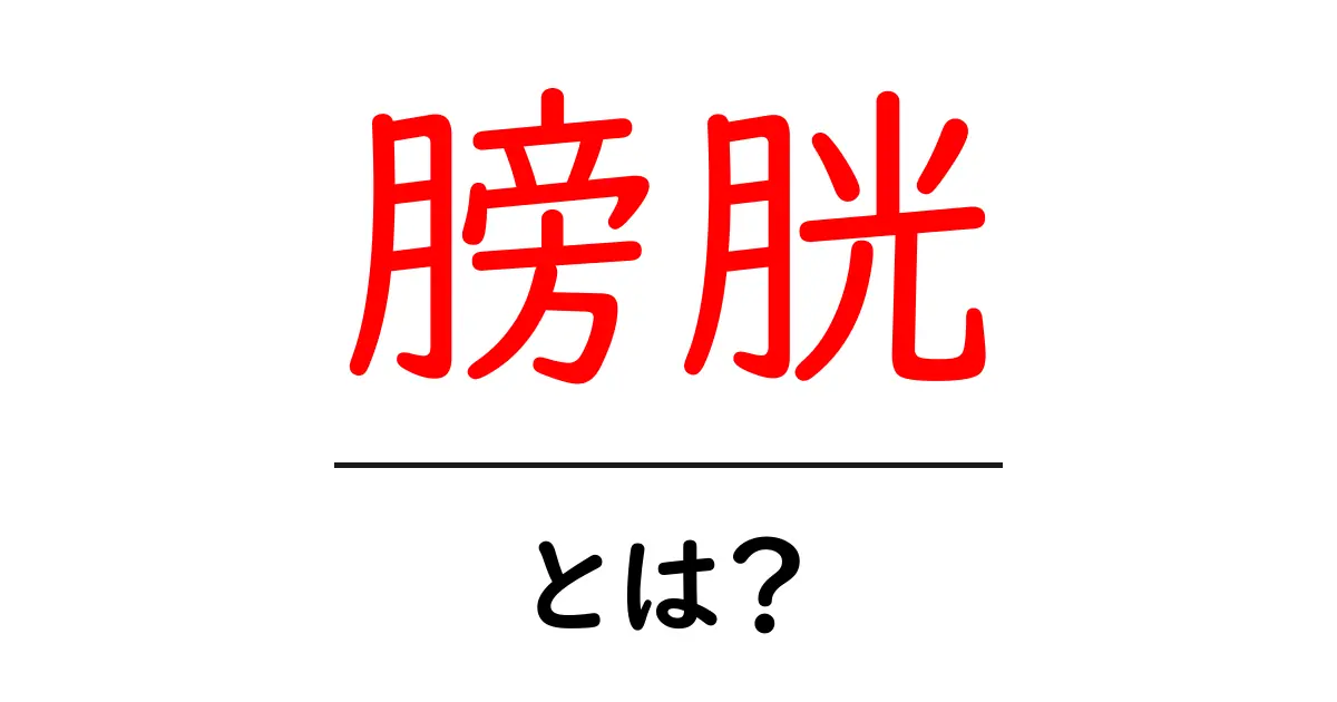 膀胱とは?私たちの体の役割と健康について共起語・同意語も併せて解説!