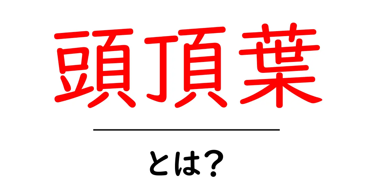 頭頂葉(とうちょうよう)とは?脳の働きとその役割について知ろう!共起語・同意語も併せて解説!