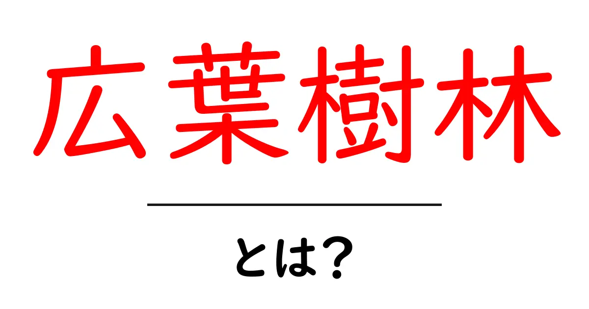 広葉樹林とは?知られざる自然の宝庫を探ろう!共起語・同意語も併せて解説!