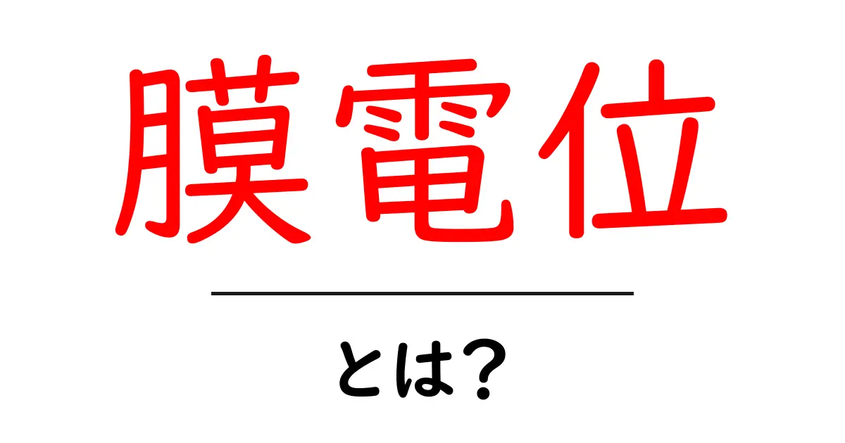 膜電位とは?不思議な電気の世界を探る共起語・同意語も併せて解説!