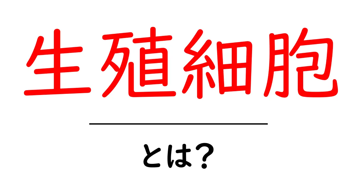 生殖細胞とは？基礎から知るその役割と重要性共起語・同意語も併せて解説！