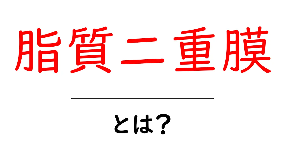 脂質二重膜とは?細胞の生命を支える重要な構造を解説!共起語・同意語も併せて解説!