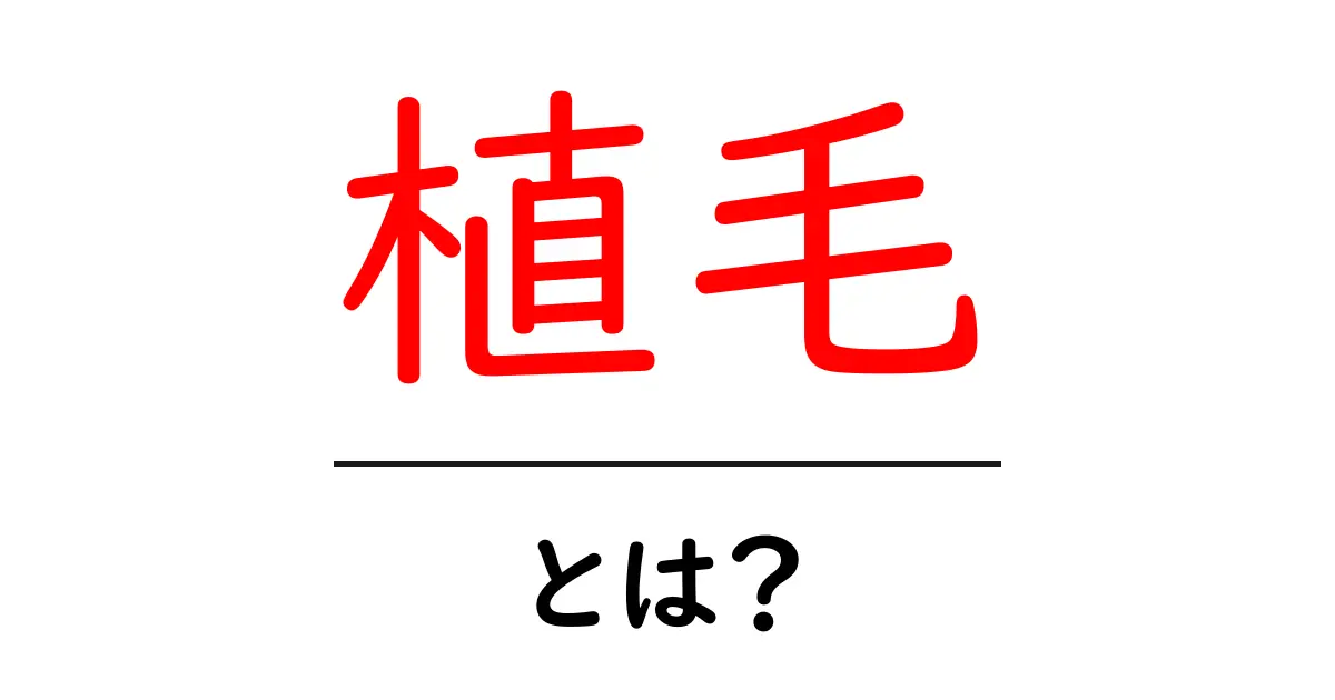植毛の全てを知ろう!薄毛に悩むあなたに贈る、初心者向けガイド共起語・同意語も併せて解説!