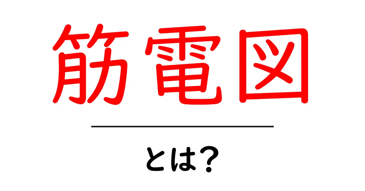 筋電図とは?筋肉の動きを知るための大切なツール共起語・同意語も併せて解説!
