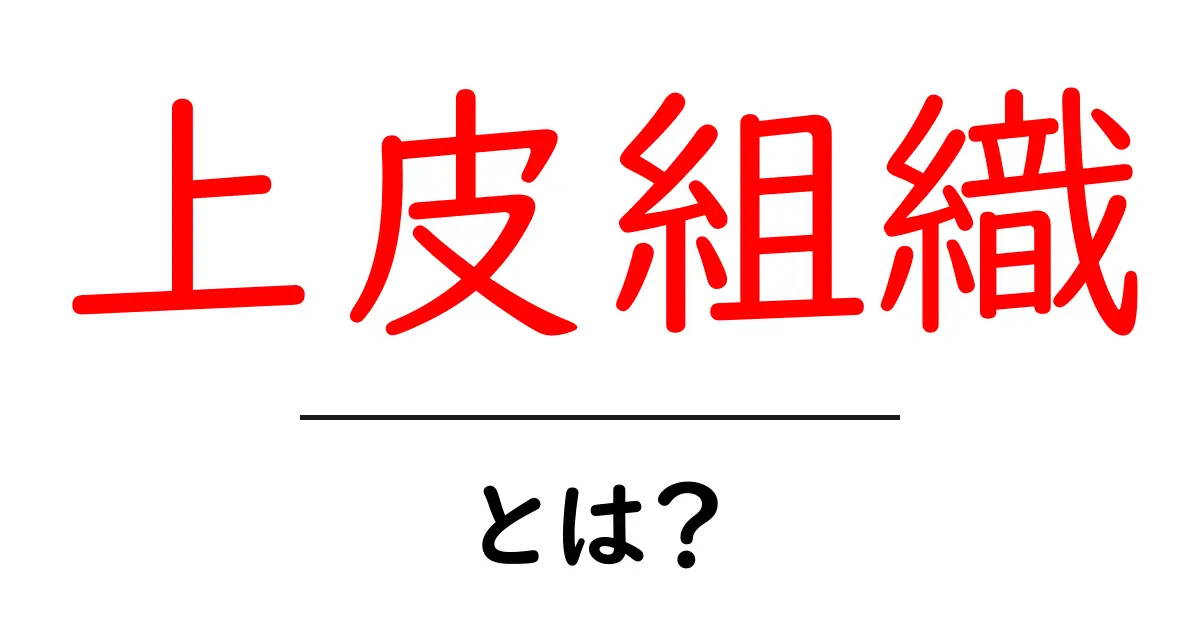 上皮組織とは？ 体を守る大切な役割を知ろう！共起語・同意語も併せて解説！