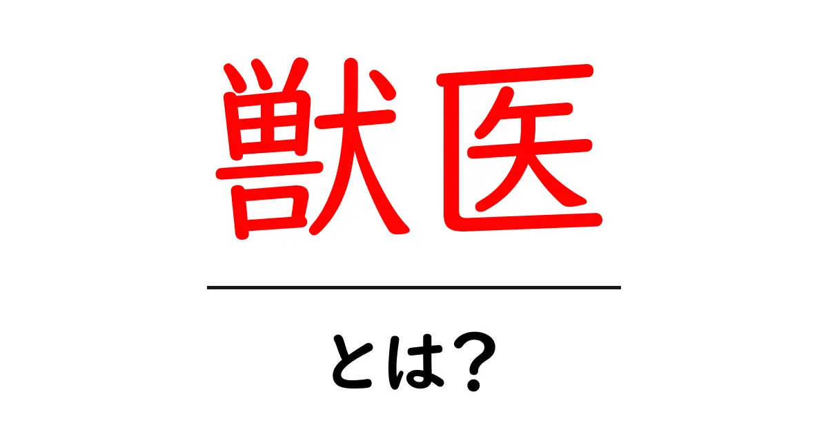 獣医とは?動物を守る大切な仕事について知ろう!共起語・同意語も併せて解説!
