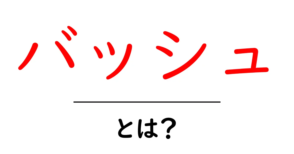 バッシュとは?その魅力と特徴を徹底解析!共起語・同意語も併せて解説!