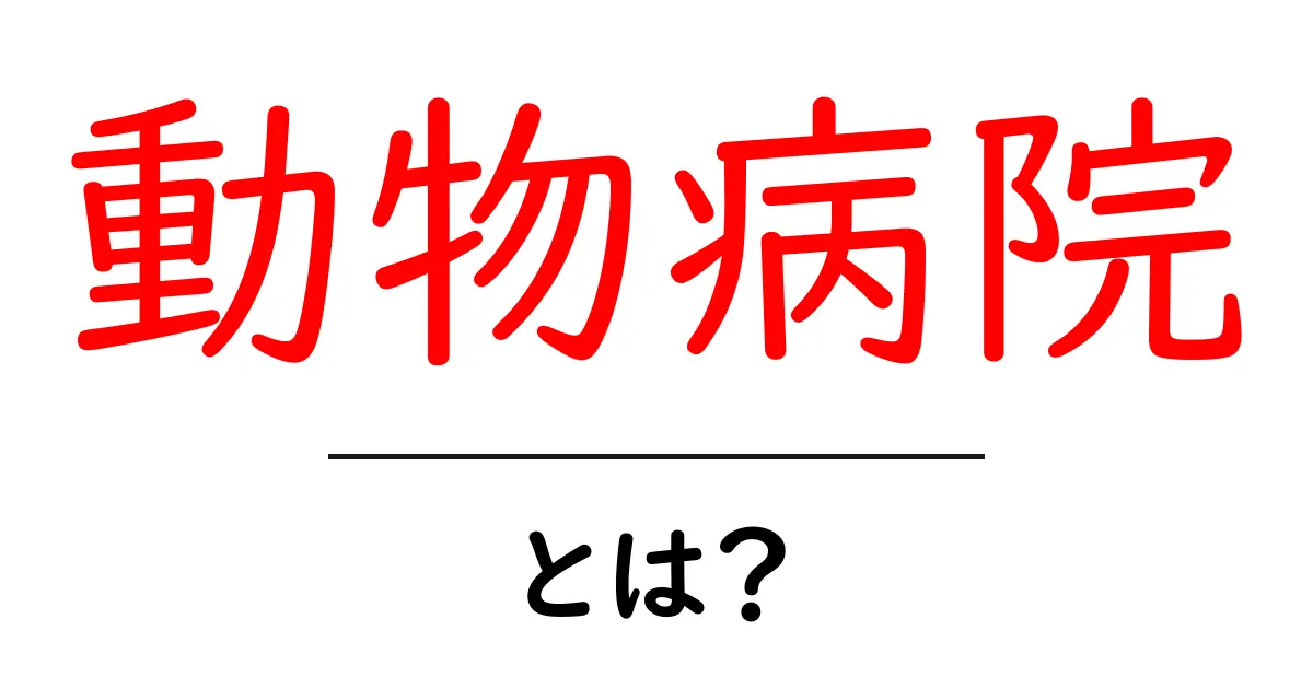 動物病院とは？愛するペットの健康を守る場所共起語・同意語も併せて解説！