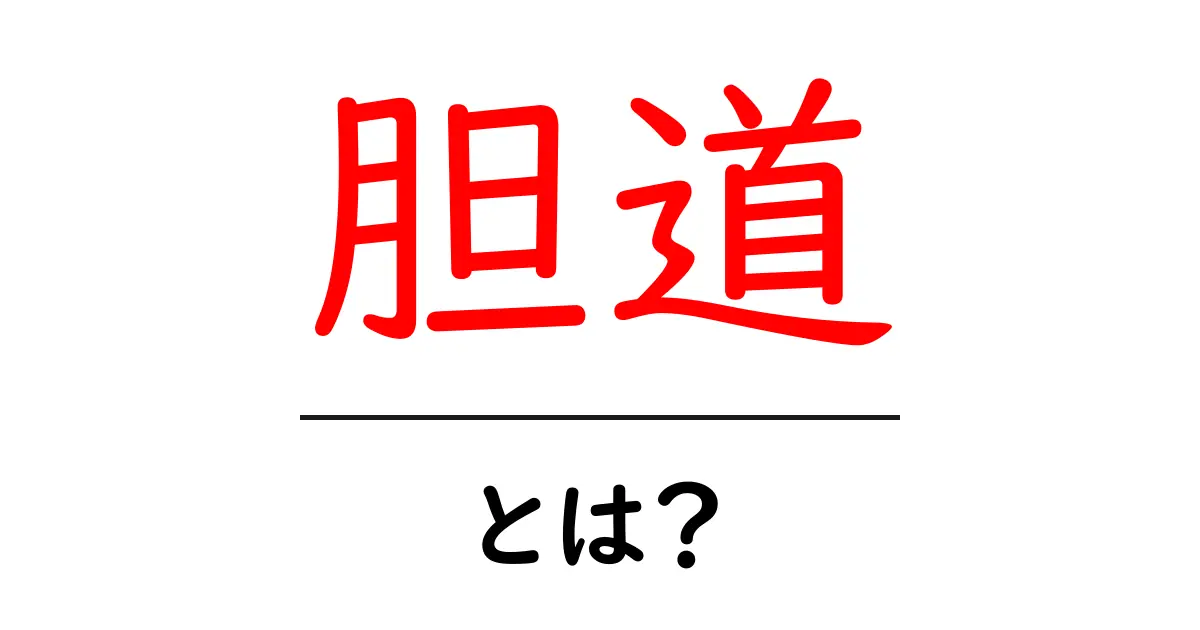 胆道とは？健康維持に欠かせない重要な役割を知ろう！共起語・同意語も併せて解説！