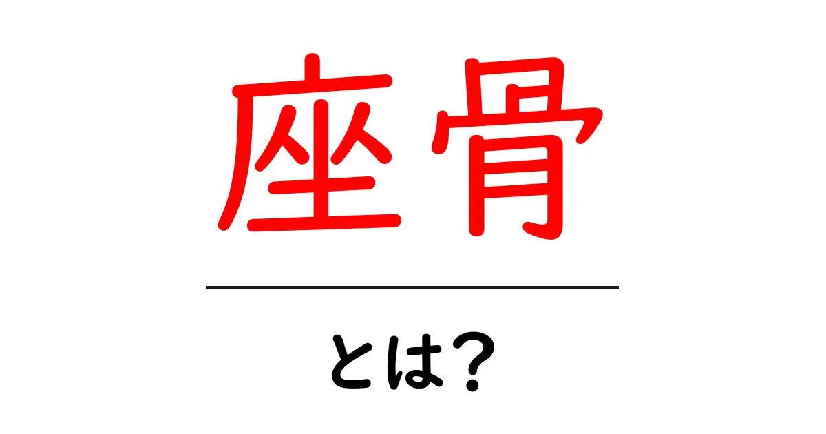 座骨とは?あなたの体に関わる大事な骨のことを知ろう!共起語・同意語も併せて解説!