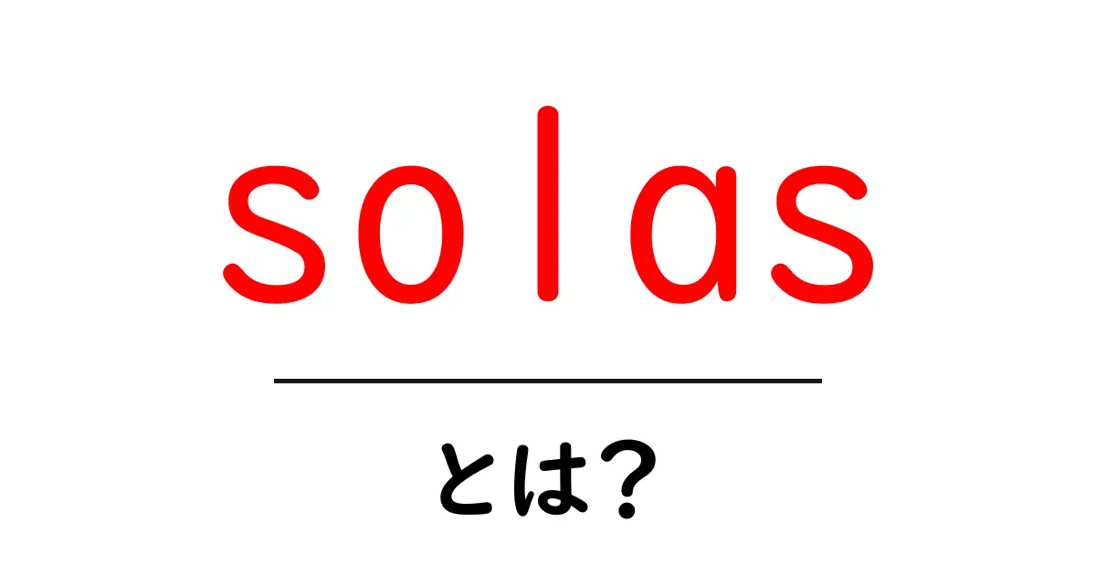 SOLAS(ソラス)とは?その意味と重要性をわかりやすく解説共起語・同意語も併せて解説!