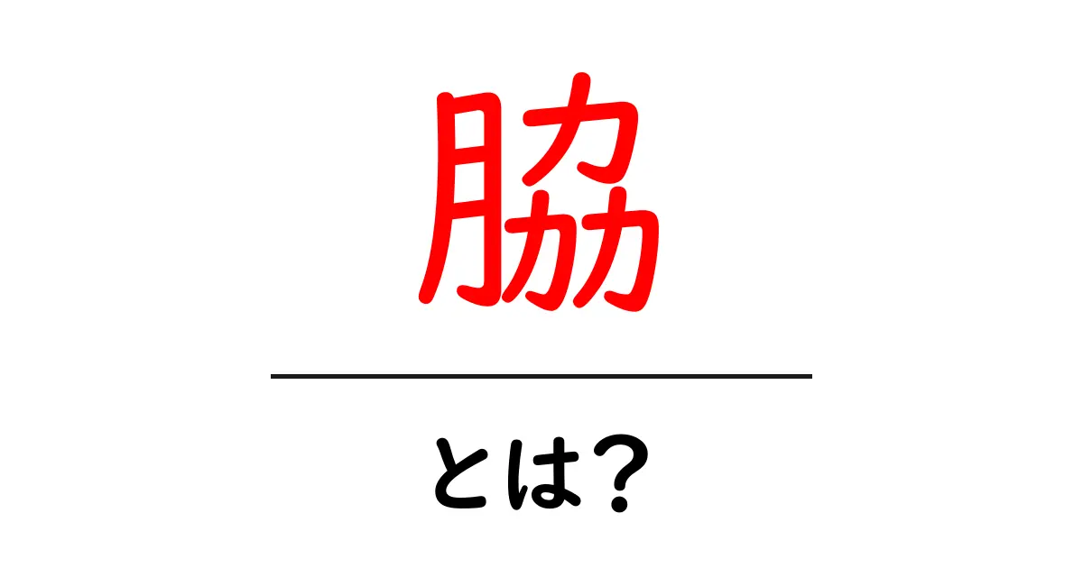 脇って何?意外と知らない脇の役割とケア方法共起語・同意語も併せて解説!