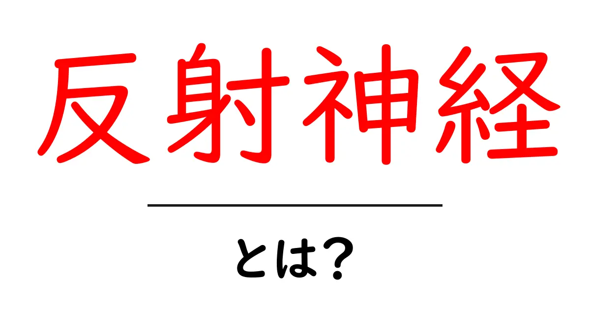 反射神経とは？その重要性とトレーニング方法を解説！共起語・同意語も併せて解説！