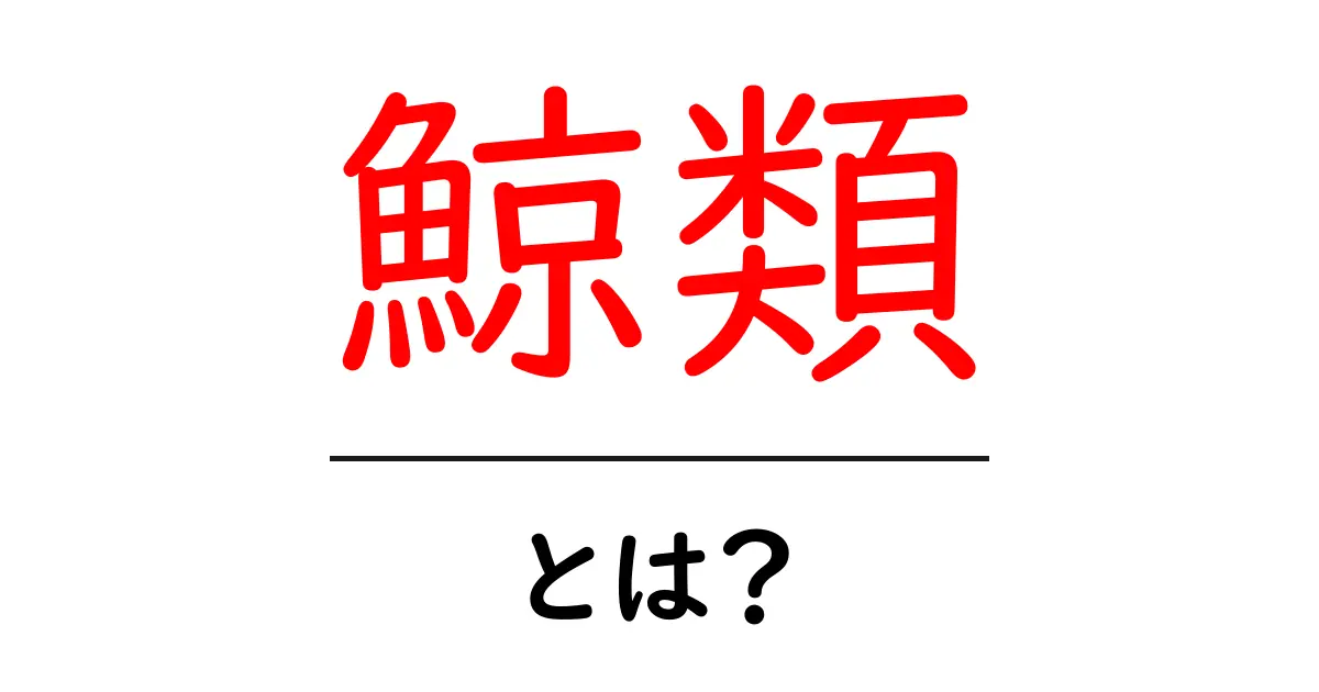 鯨類とは?海の巨人たちの魅力を解き明かす共起語・同意語も併せて解説!