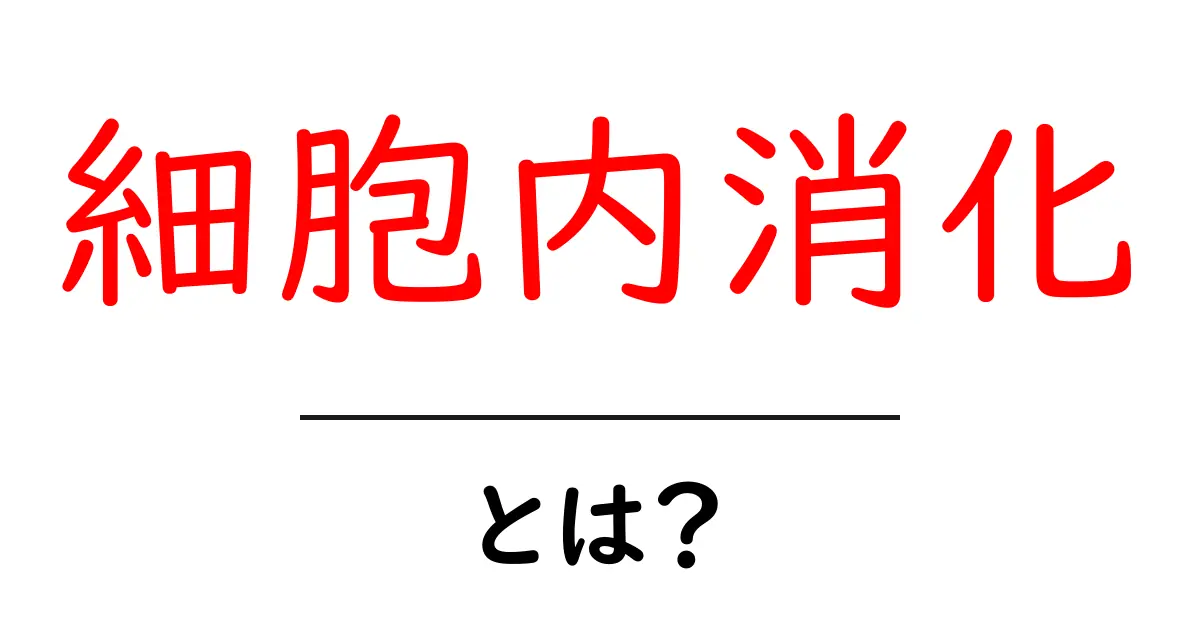 細胞内消化とは?その仕組みや重要性をわかりやすく解説!共起語・同意語も併せて解説!