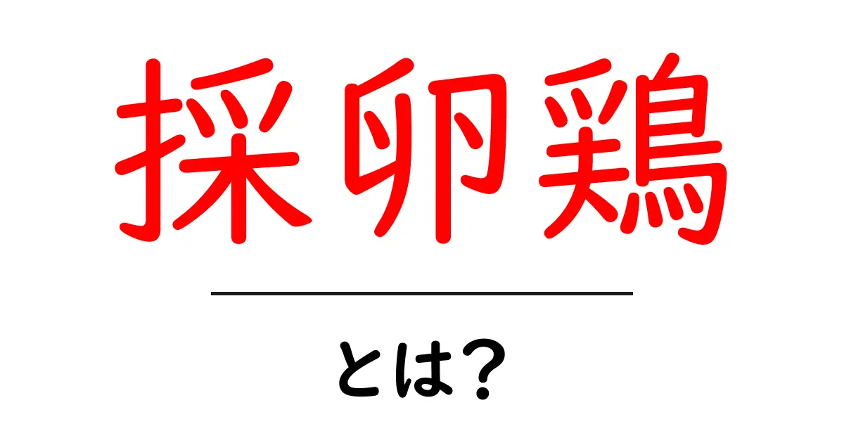 採卵鶏とは?卵を生む鶏の秘密に迫る!共起語・同意語も併せて解説!