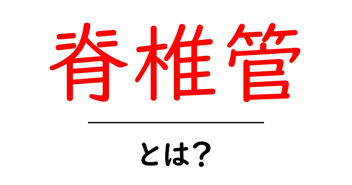 脊椎管とは?その役割と健康への影響をわかりやすく解説共起語・同意語も併せて解説!
