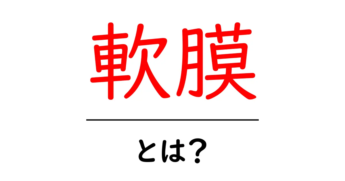 「軟膜」とは?その特徴と役割をわかりやすく解説!共起語・同意語も併せて解説!