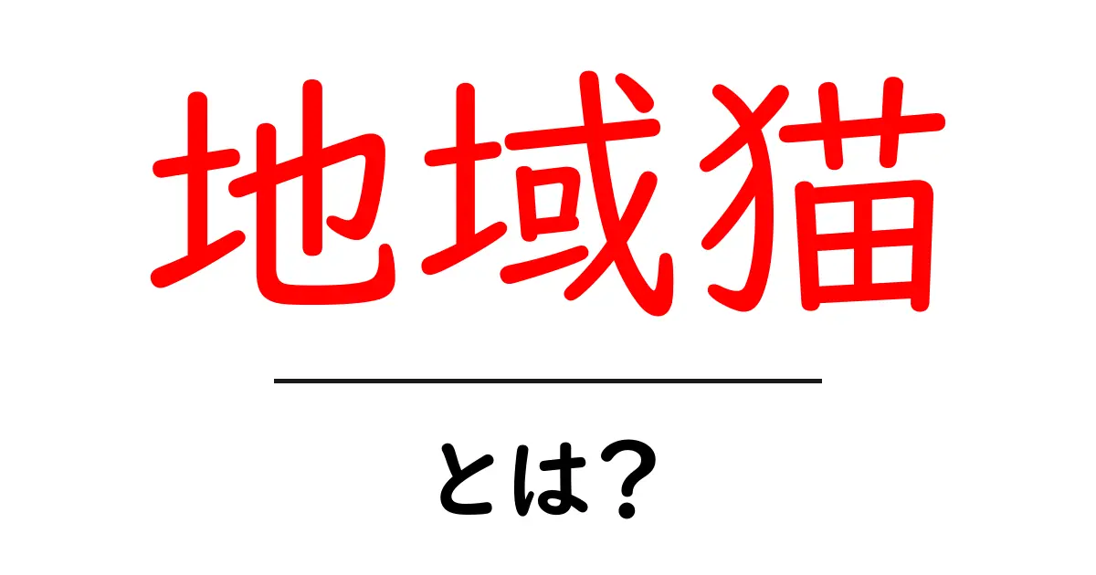 地域猫とは?その魅力と存在意義を知ろう!共起語・同意語も併せて解説!