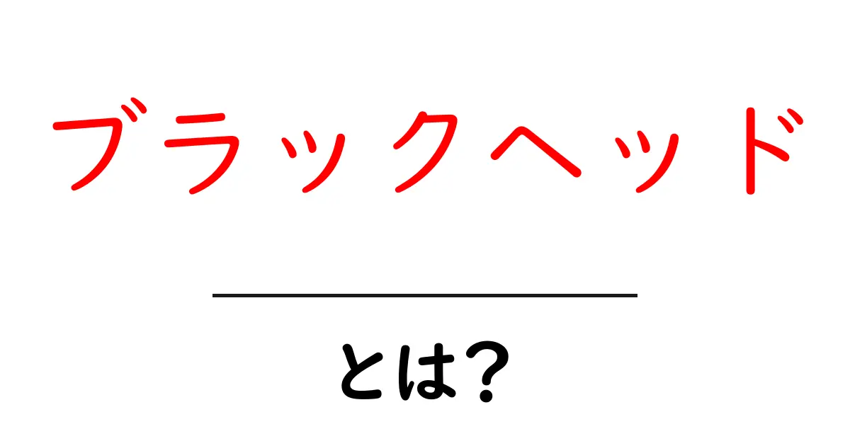ブラックヘッドとは?その原因と対策を徹底解説!共起語・同意語も併せて解説!